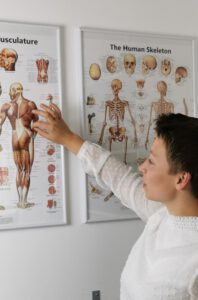 Franziska Berger erklärt anatomische Details – Fachwissen als Basis für die kileba-Methode.